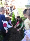 Кликни на слику за већи приказ